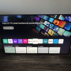 LG 65 Inch TV