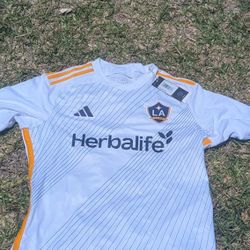 Los Angeles Galaxy Authentic Large
