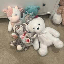 stuffed animals/ teddy bear