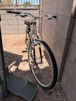 Unisex Adult Bike - NEEDS PICKUP TODAY