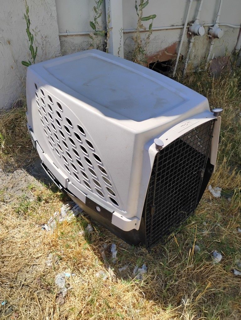 Large Dog Crate