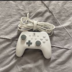 Nintendo Switch Controller 