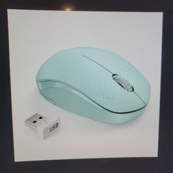 Mint Green Wireless Mouse With USB Reciever