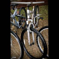 Project Or For Parts Next Mountain Bike 