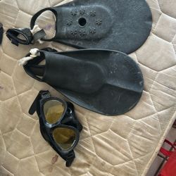 Fins / Goggles