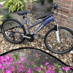 Schwinn 24” Mountain Bike (Map 1st)