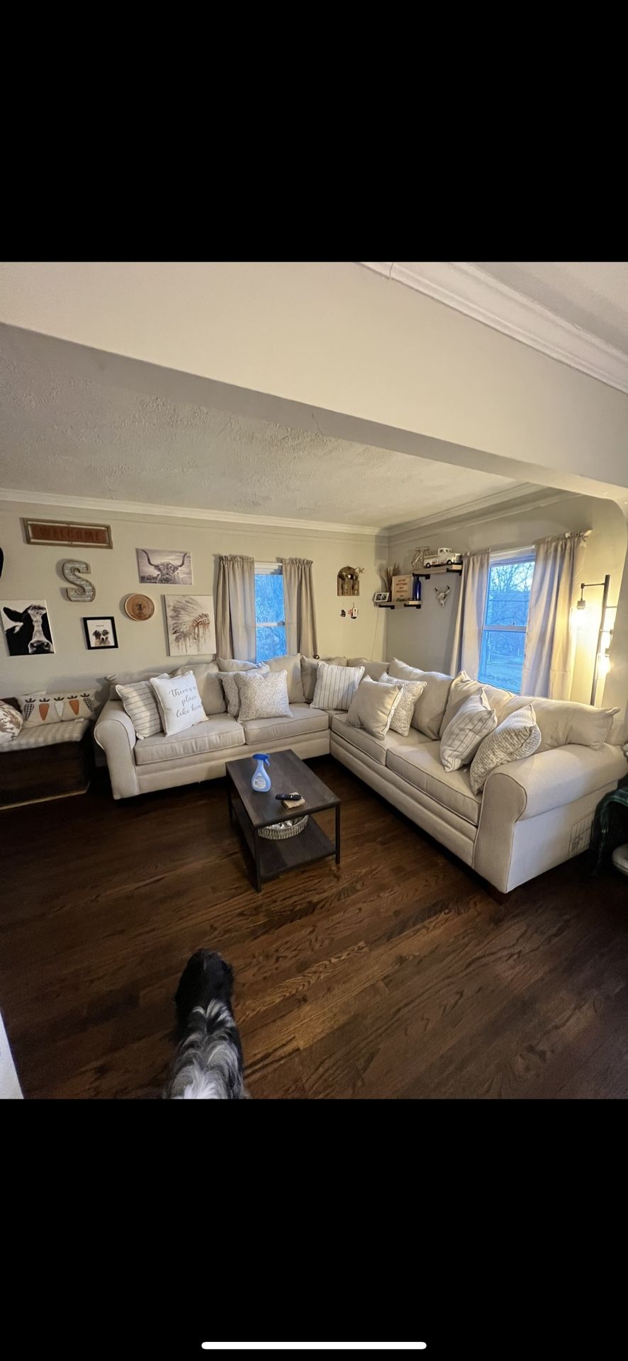 Sectional Sleeper Sofa