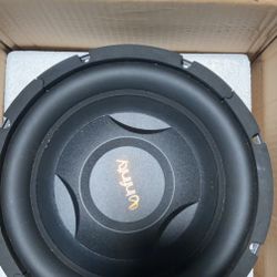 10 Inch Infinity Subwoofer