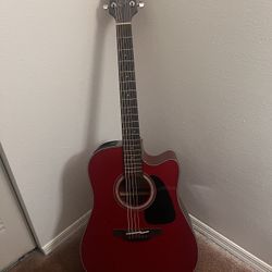 Takamine G Series 