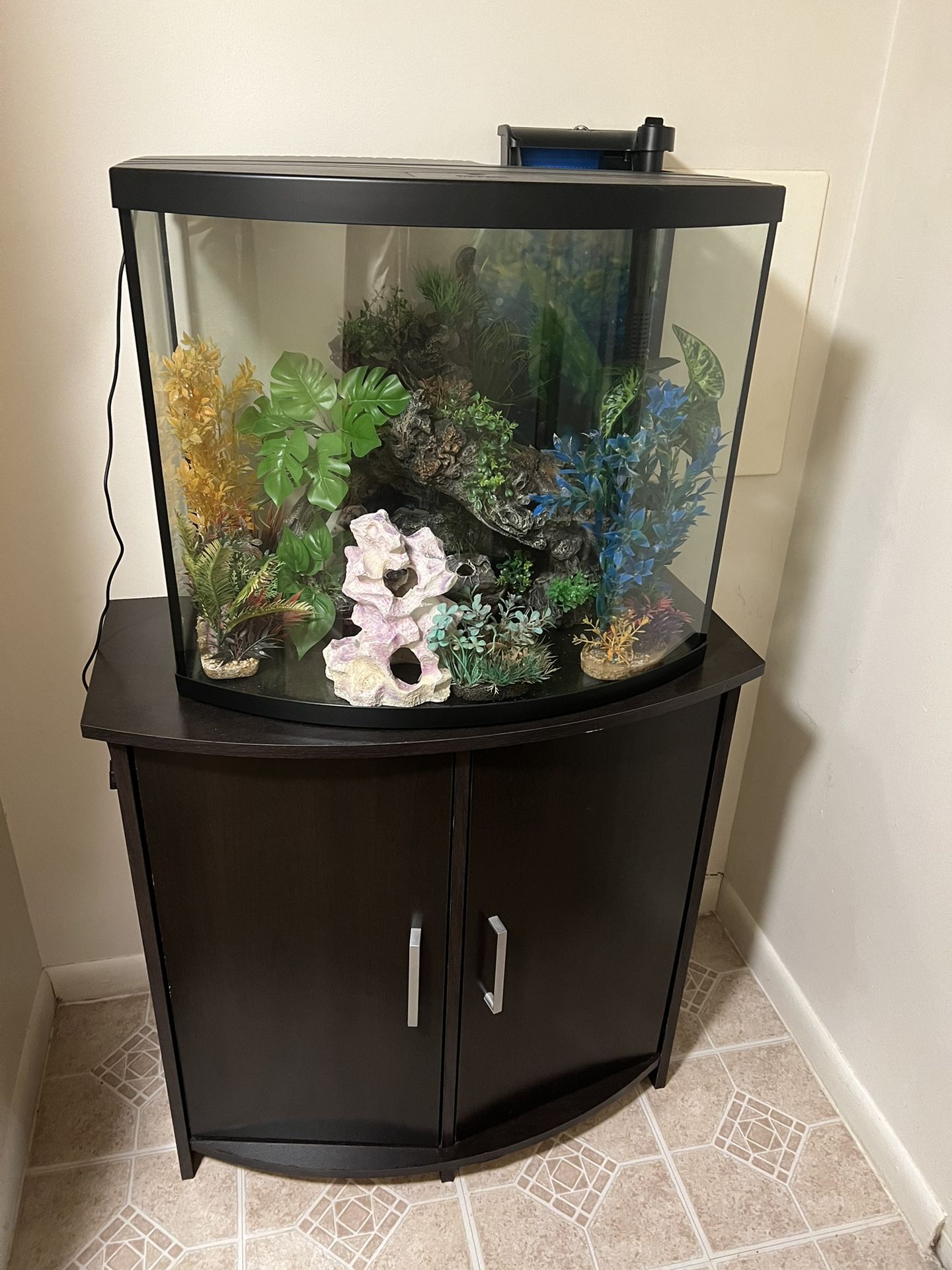 Fish Tank