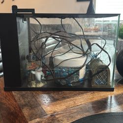 Fish Tank