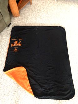 Beaver picnic blanket