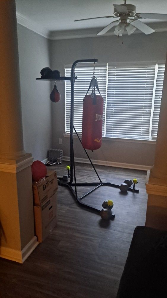 Punching Bag With Stand And Speed Bag.