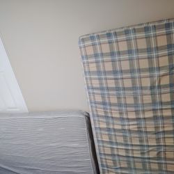 Twin Mattress (Free)