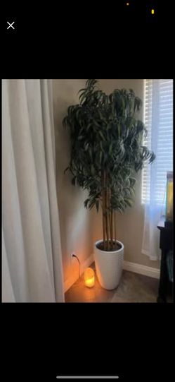 🌿✨ 7.5ft Artificial Bamboo Tree with Modern White Textured Planter – Elegant Home Decor 🪴💫 💰 $75 retail was $195 📍 Pickup Location: S. Durango & 