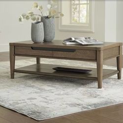 Roanhowe 50 in. Brown Rectangle Wood Coffee Table with Shelves