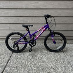 Kids Bike 20 Inch Wheels 