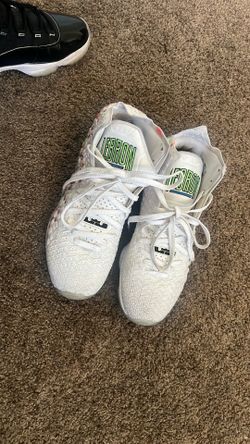 LeBron James size 9 1/2