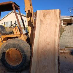 Live Edge Pine Slabs 
