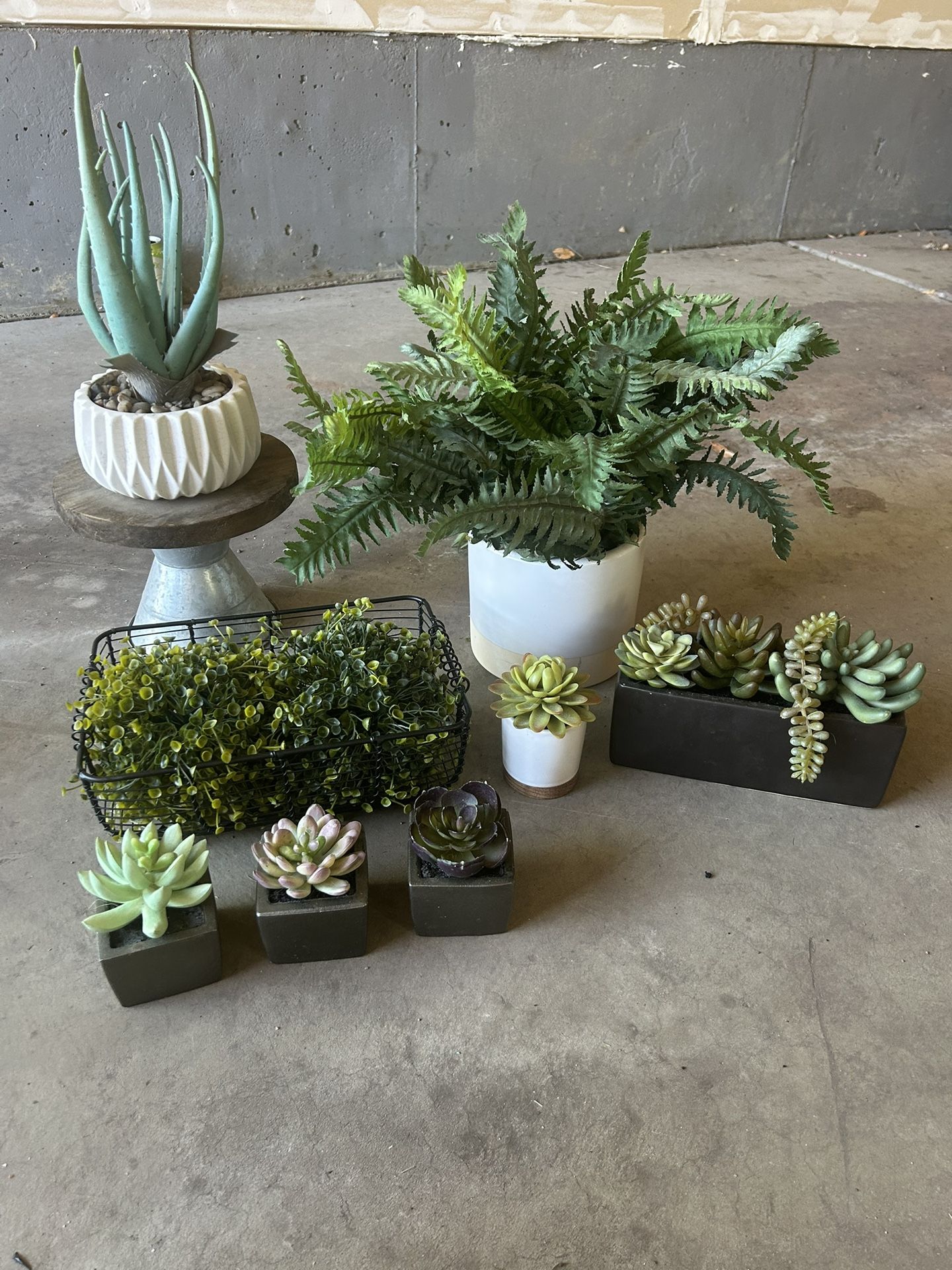 Assorted artificial Plants