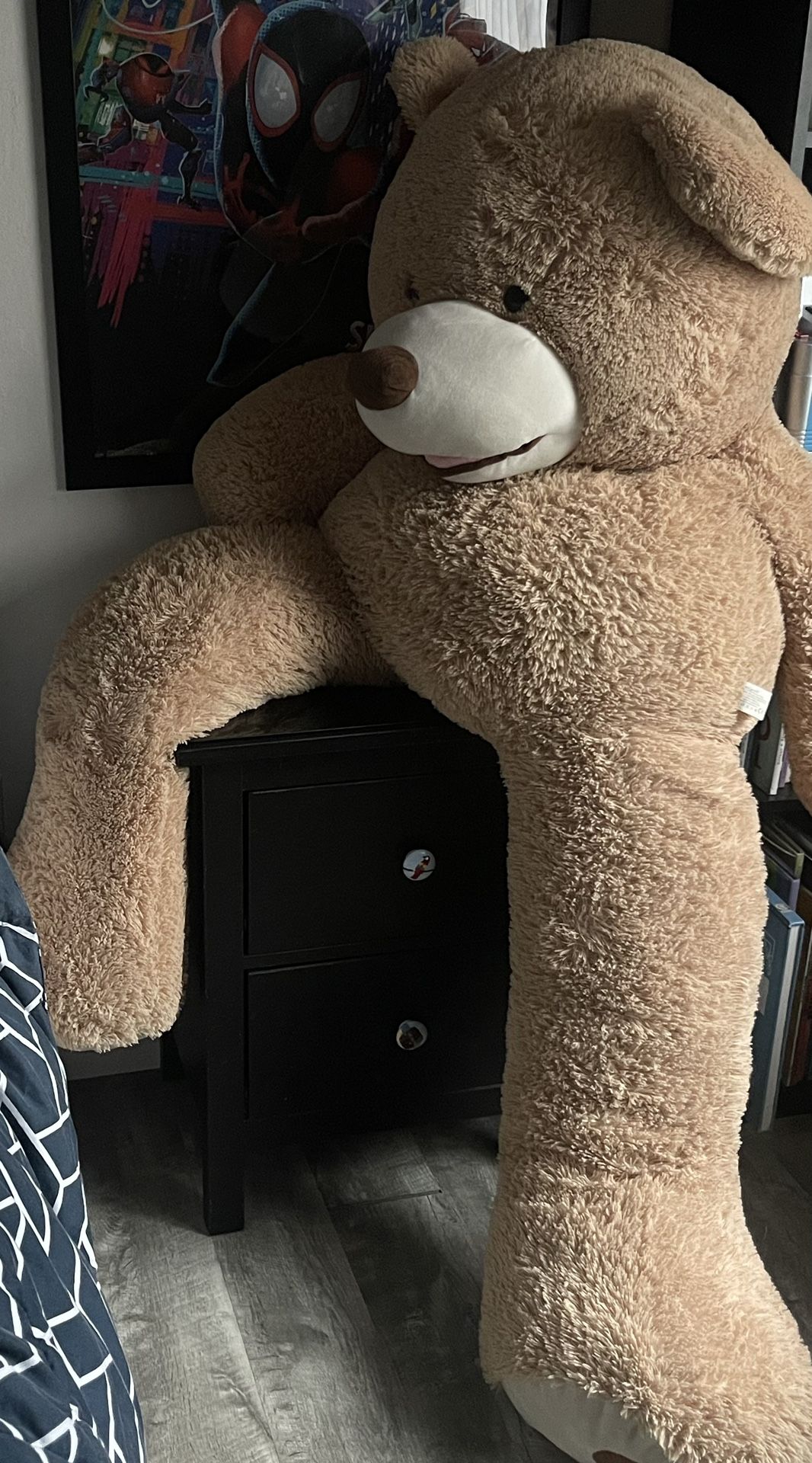 Large Teddy Bear