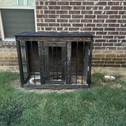 Dog House 
