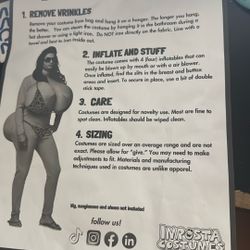 Big Bikini Babe Costume