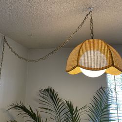 Vintage 1970s Raton Tulip Hanging Lamp