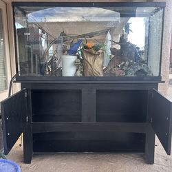 75 gallon tank, everything you’ll need