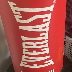 Elite Everlast Freestanding Punching Bag