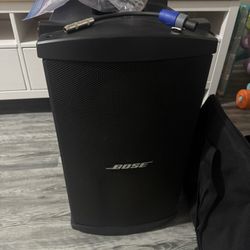 Bosé Bass Module Model B2 