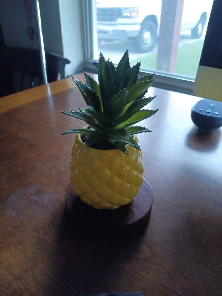 Ceramic Pineapple
