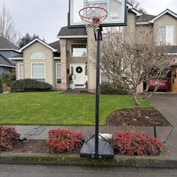 Lifetime Basketball Hoop