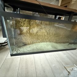 55 Gallon with Big Oase Filter with Thermostat