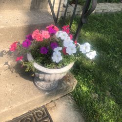 2 Decorative Flower Pots With Flowers