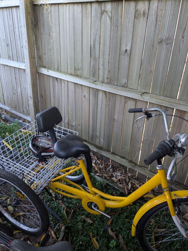 Adult Tricycle