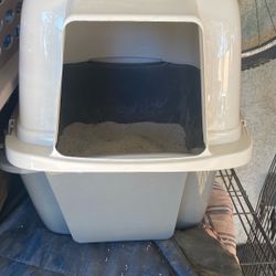 Cats litter, box and litter