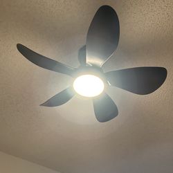 Ceiling fan with remote