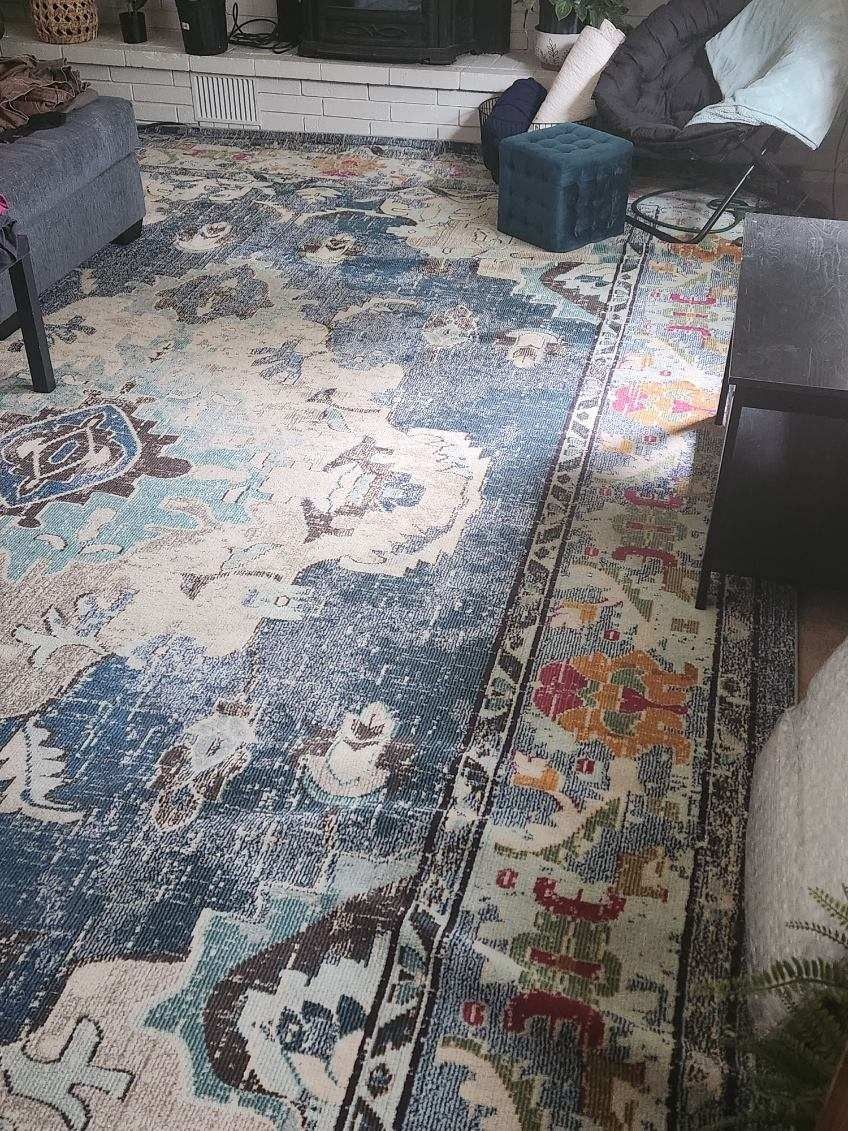 Big living room Rug. Paid 400 will take 200