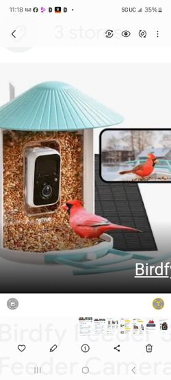New Soler Camera Bird Feeder
