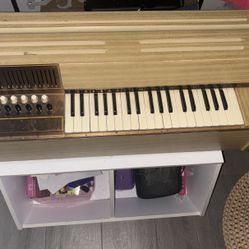 Chord Organ Magnus