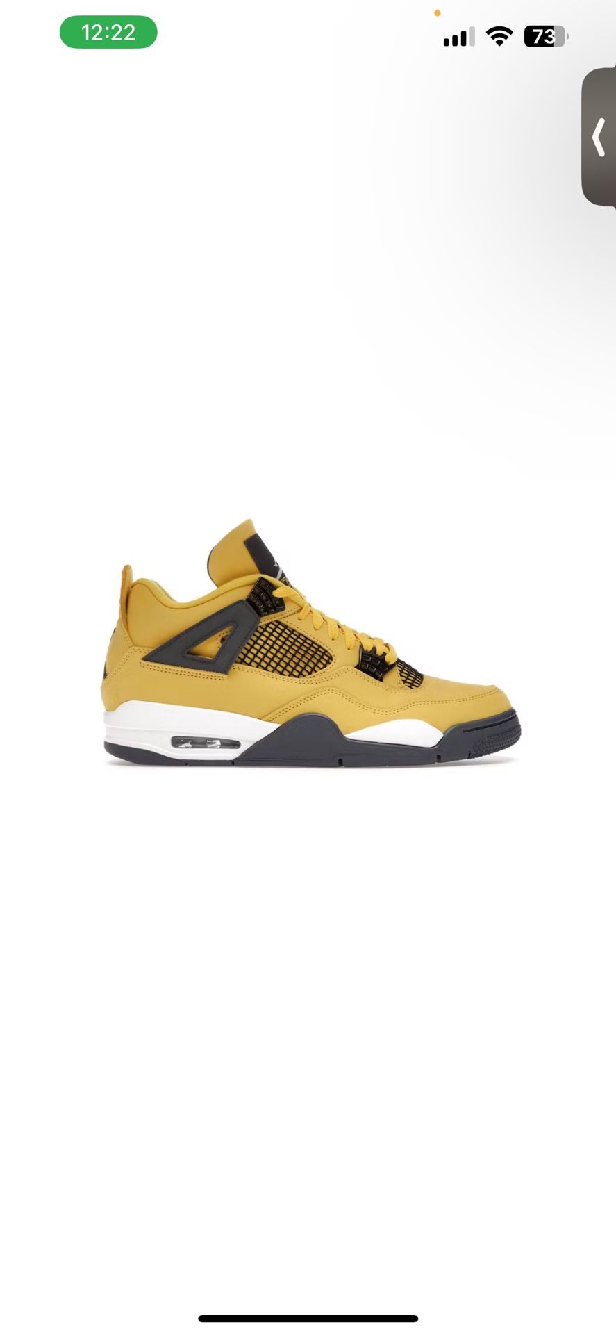 Lightning 4s Size 10 Brand New