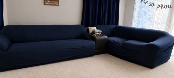 Free L shaped couch