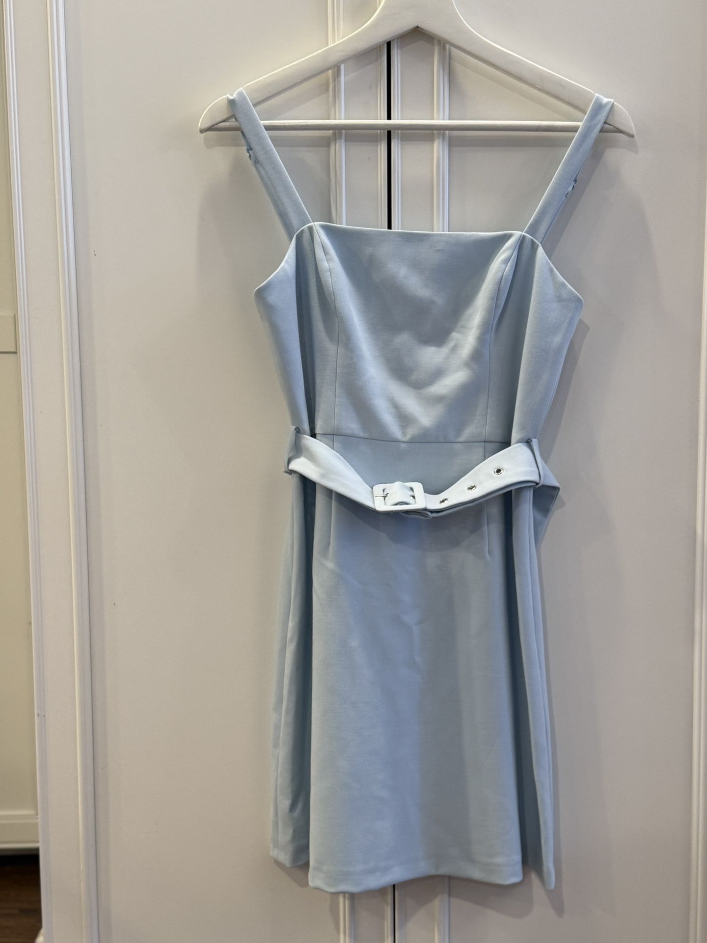 Baby Blue French Connection Dress
