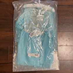 Frozen Elsa Costume  3T/4T      $15