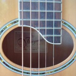 Acoustic Guitar 