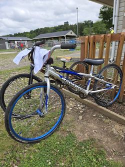 Redline Junior Bmx Race Bike