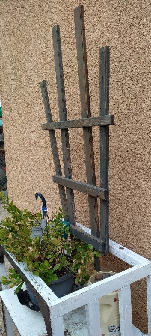 Plant Trellis 