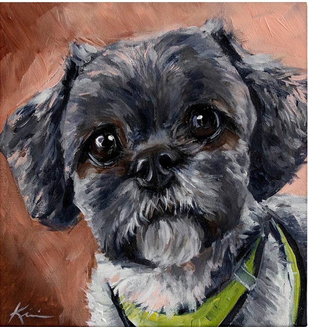 New Shih Tzu Canvas 30”x30”