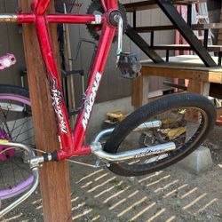 Boys BMX Bike 